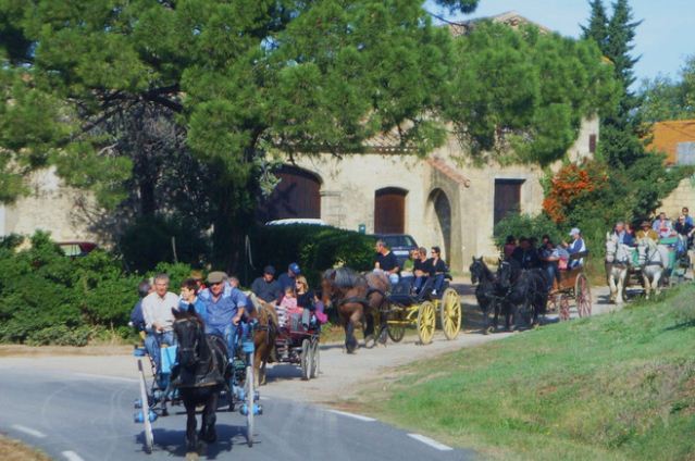 Location de calèche, balade, promenade